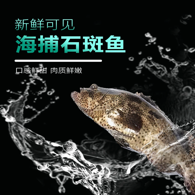 海上甄农石斑鱼鲜活冷冻龙胆鱼海鲜石斑春节礼品节日礼品海产礼盒