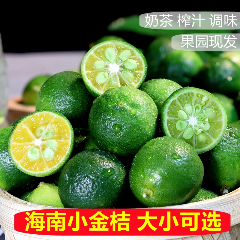 新鲜海南青金桔小金桔酸柠檬奶茶店专用小青柠现货速发整件免邮
