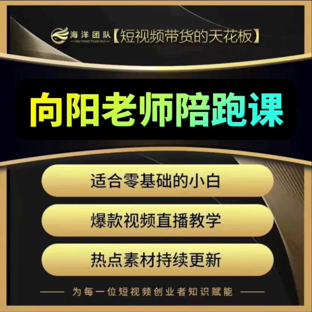 向阳老师实操陪跑课（报名入口）