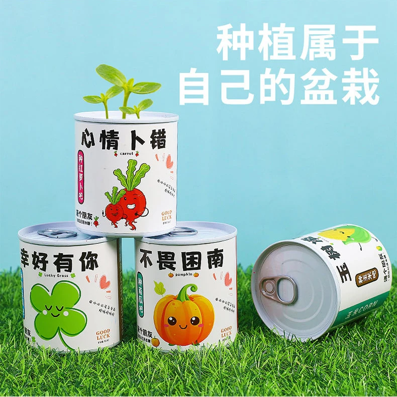儿童植物种植盆栽番茄草莓果蔬科学观察种子发芽迷你农场益智玩具