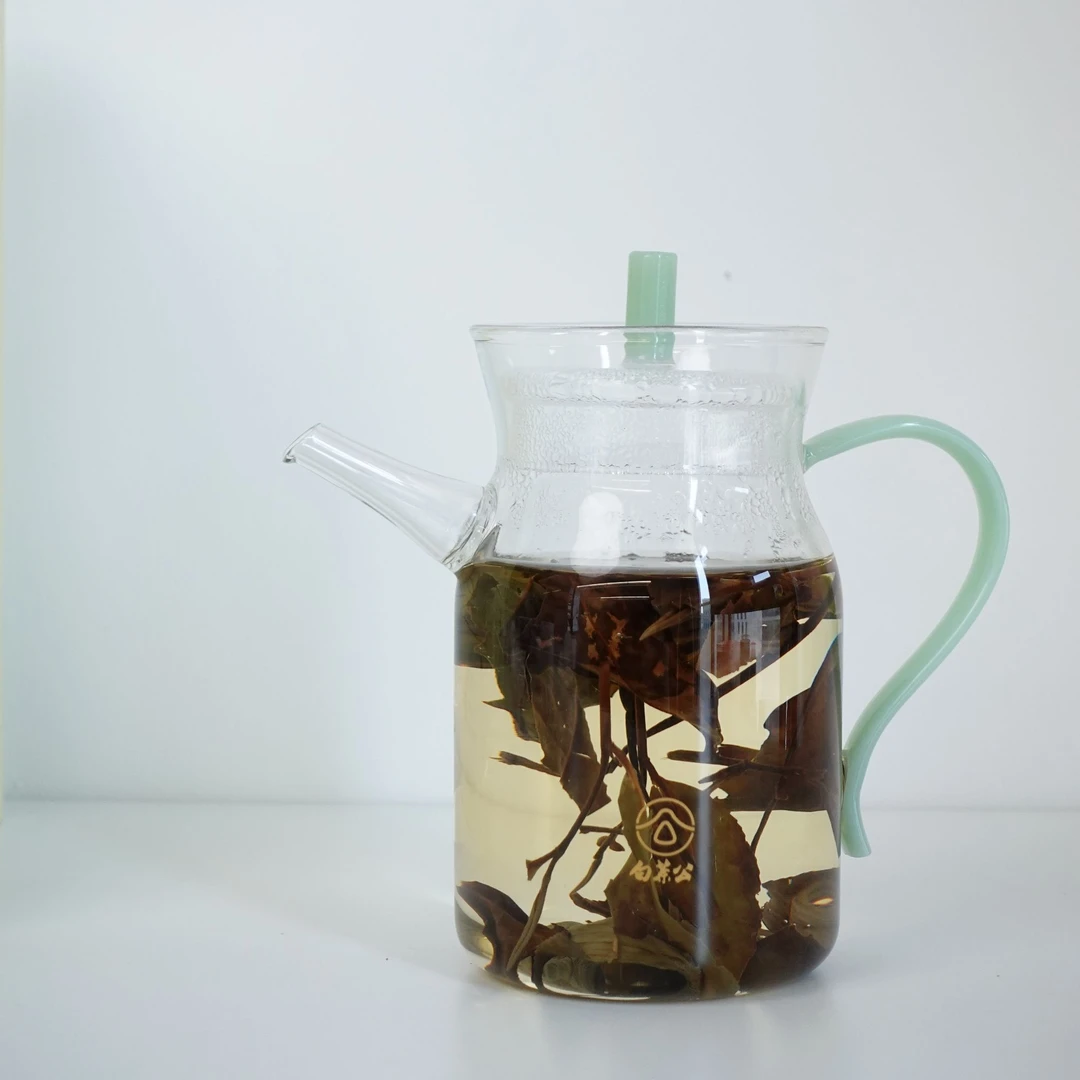 绿执壶日式茶具耐热透明带盖