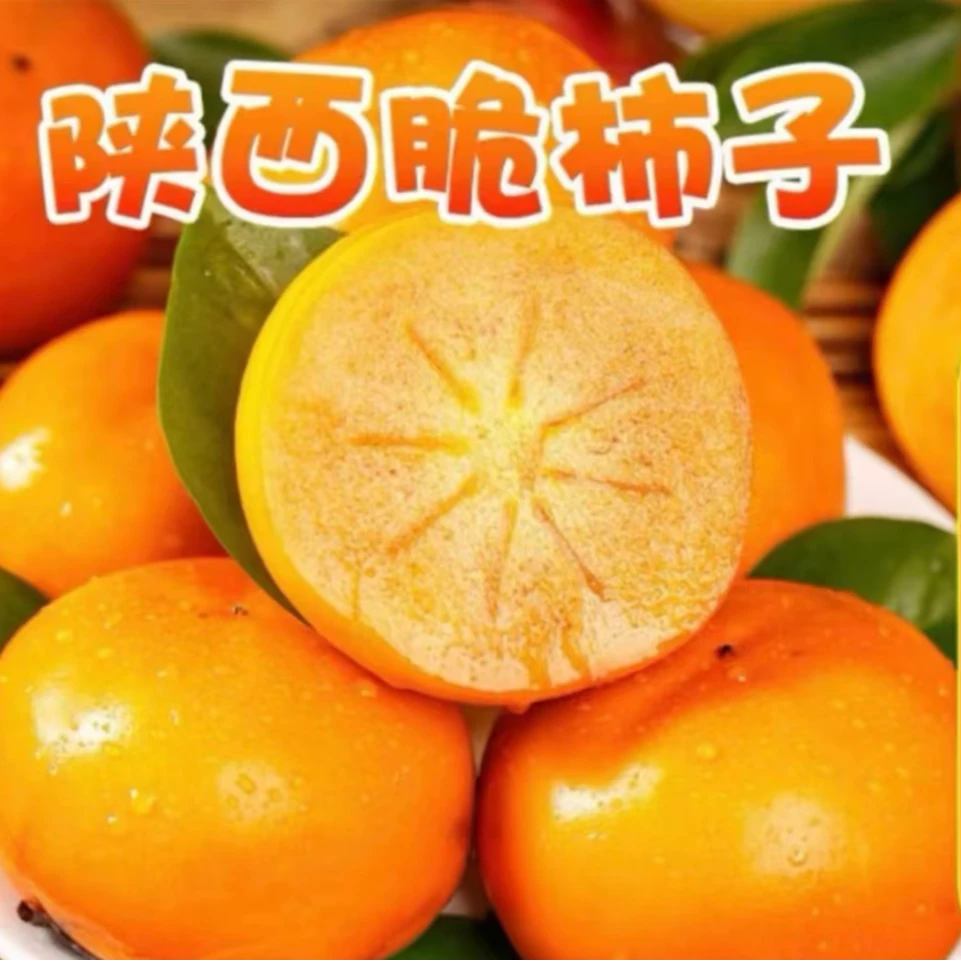 （大黑专属）陕西阳丰脆柿子（小果/大果）去皮吃口感更佳