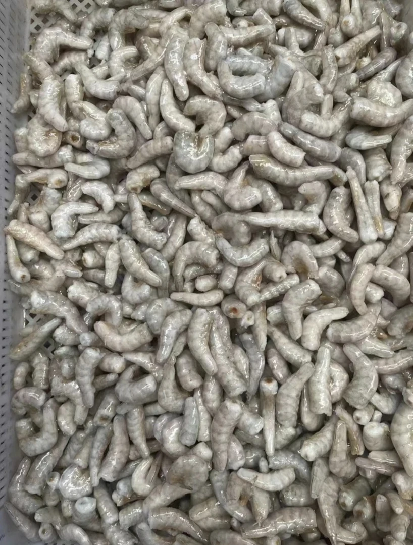 冷冻鱼食虾  泥鳅