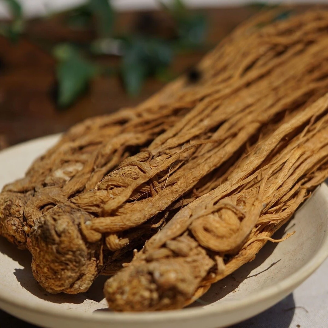 城口大巴山-当归