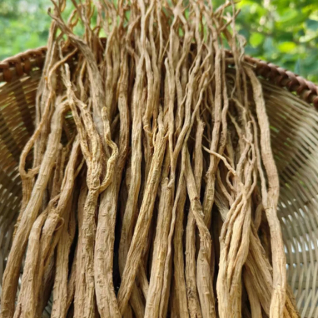 城口大巴山党参