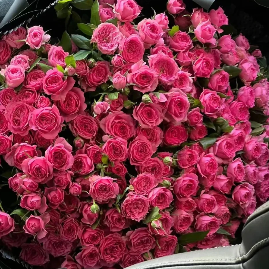 【苏菲宝贝多头玫瑰】斗南鲜花云南直发玫瑰鲜花一单包邮