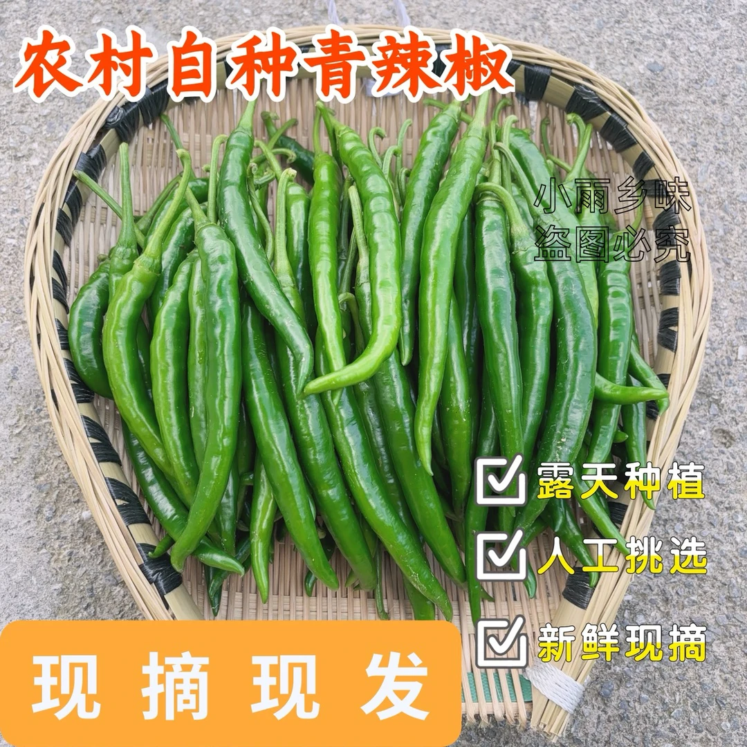 贵州露天种植青椒新鲜线椒二荆条农村自种薄皮青椒特辣新鲜现摘