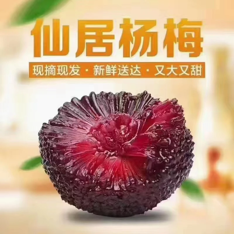 【钱大姐家】单果30-40克仙居高山东魁杨梅乒乓球大果颗粒包装