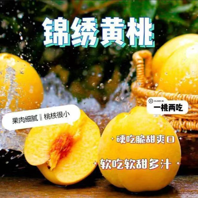 5斤黄桃新鲜水果现摘现发软糯香甜大黄金蜜桃子当季整箱包邮桃子