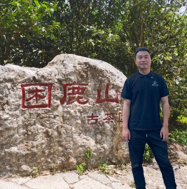 【桐桐粉丝专享】困鹿山普洱茶