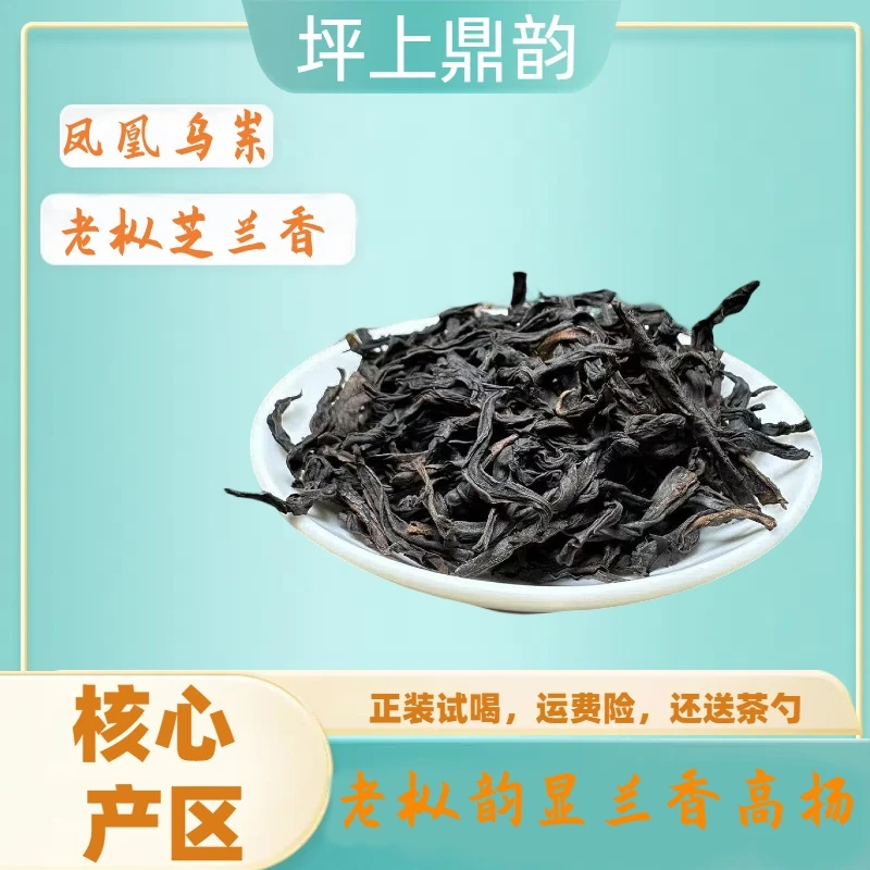 凤凰单丛焙茶 2024年 宋种焙茶