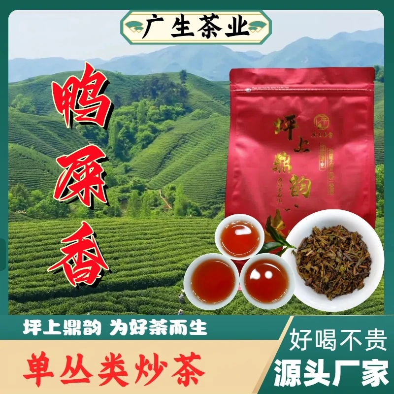 坪上炒茶2025年高山鸭屎香海拔900米花香显奶香韵醇厚茶叶