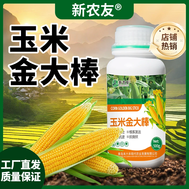 玉米金大棒高产专用作物饱满促根丰产增收大田农作物正品农用通用