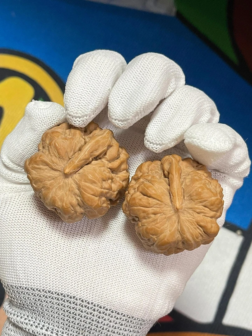 蛤蟆头一帆风顺异型文玩核桃