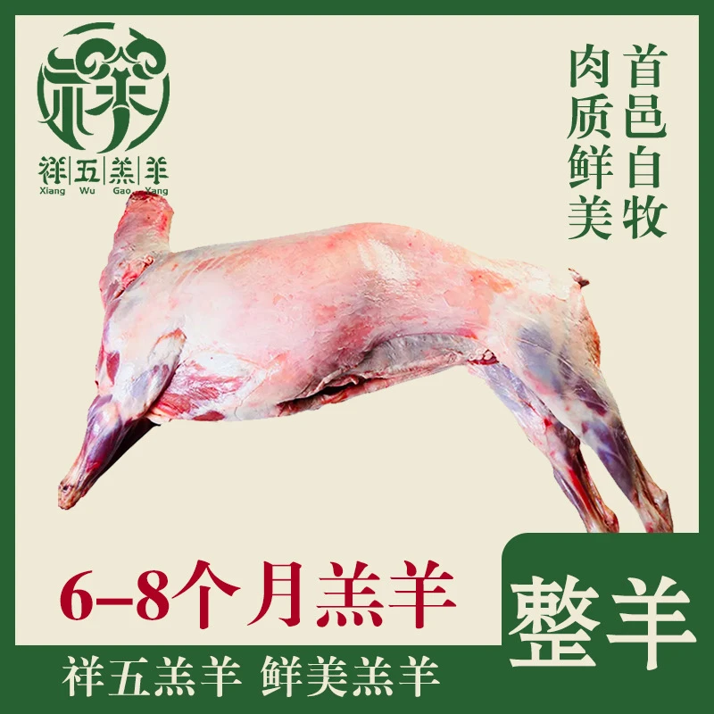 新鲜羔羊肉 整羊  跑山羊 30斤起