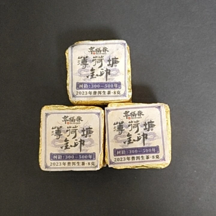 【尊】孤品-10砖2023年薄荷塘金印方砖8克/砖（生）