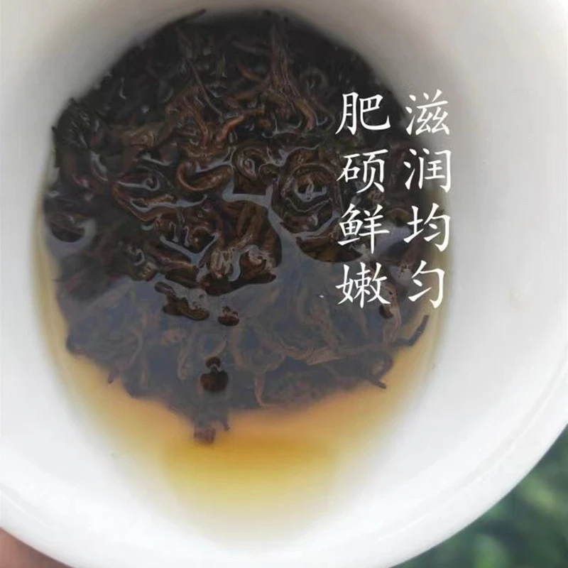 日照红茶2025年散装1斤包邮味浓甘甜耐泡500g蜜香＋礼盒装
