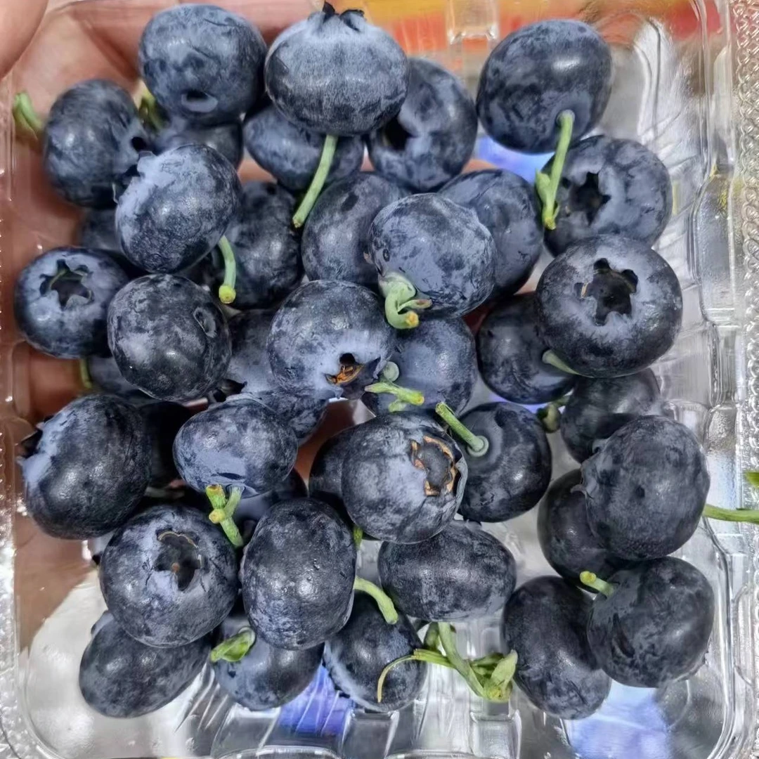 蓝莓蓝莓同城送