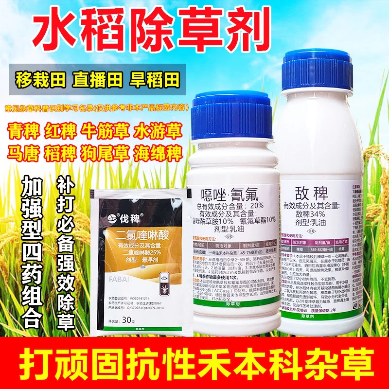 水稻除草剂旱稻直播稻水稻田敌稗补打青稗稗草抗性杂草水稻田除草