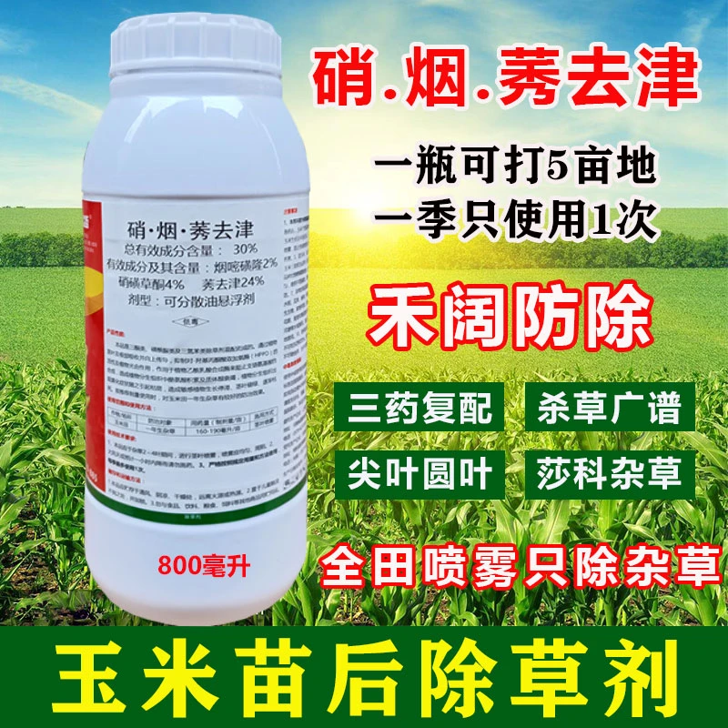 玉米除草剂玉米苗后专用除草剂硝烟莠去津除草封闭禾阔莎杂草防除