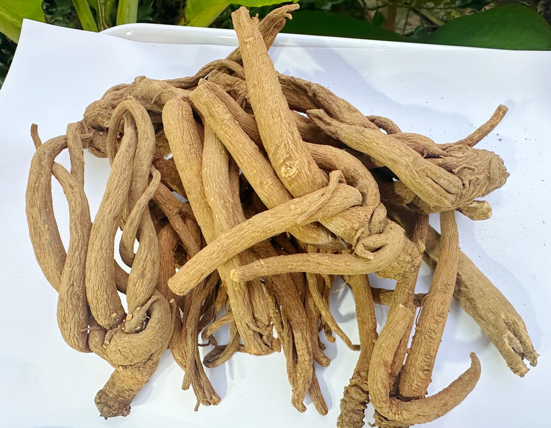 （阿刊収好货）现收土特 当-归 250-500克食用农产品