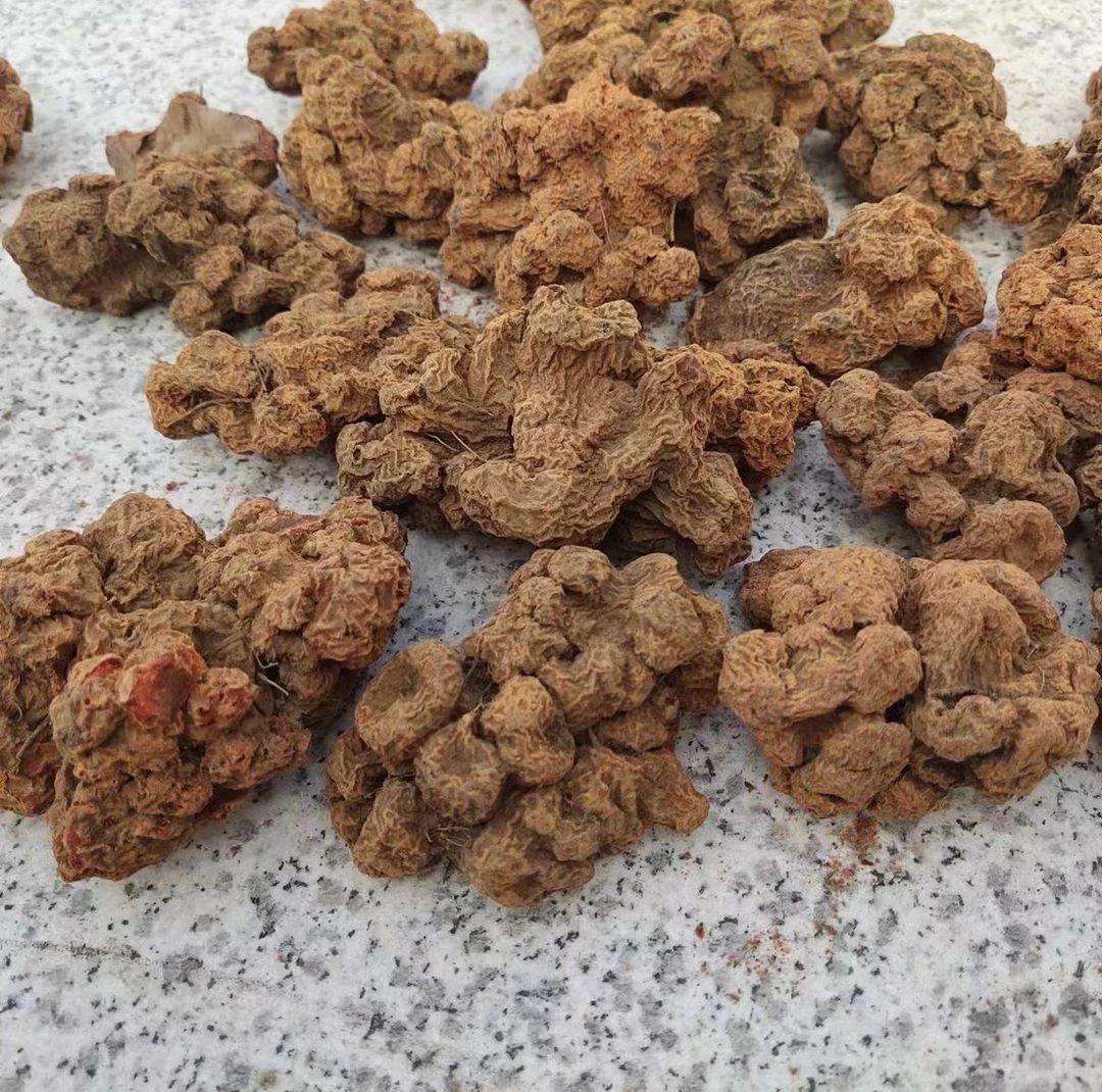 （阿刊収好货）现收土特产 血-菩-提 250-1000克食用农产品