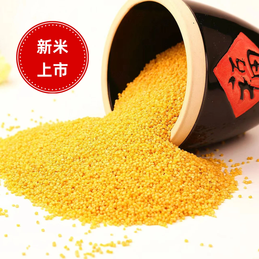 东北黄小米月子米新米5斤装东北黄小米优选食用特产