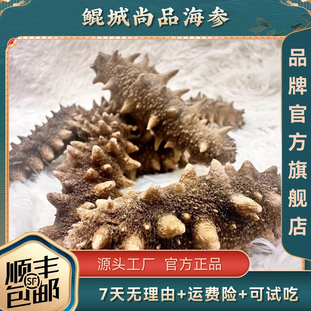 【国标特级】免蒸煮冷水速发深海底播辽参滋补养生出差商旅海参50g