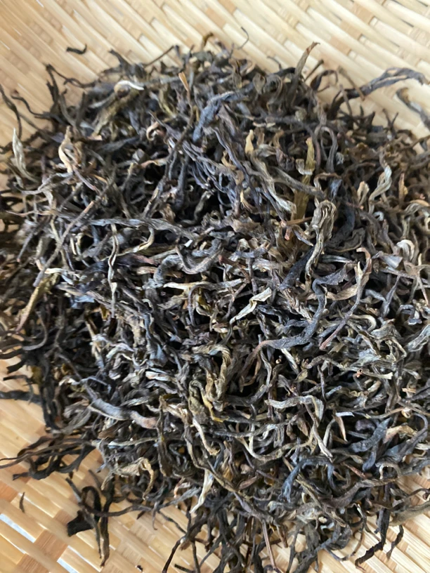 云南糯武单株500克。2023头春头采。