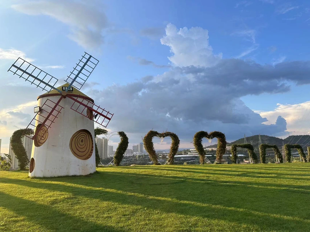 福袋链接——莲瓣兰