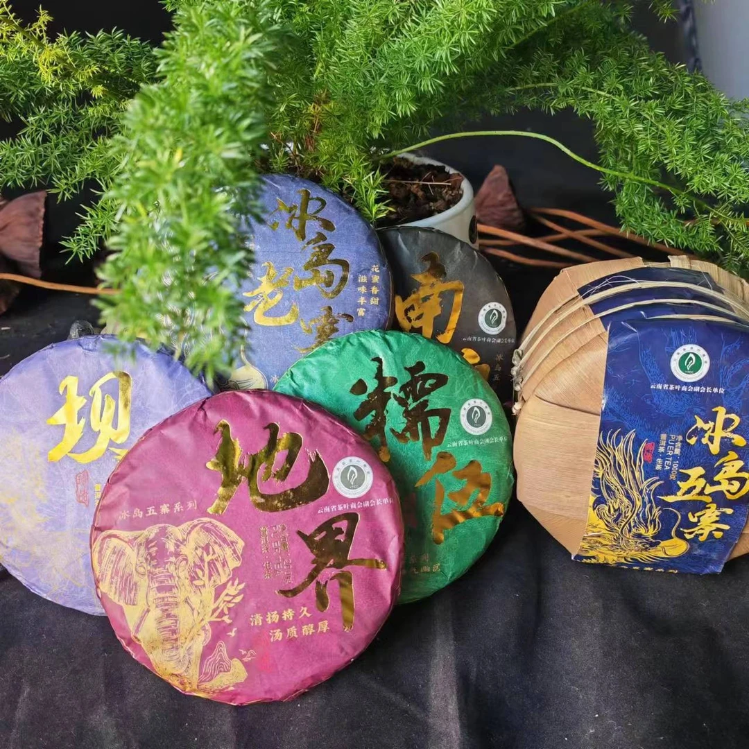 茶园世家汇纵古茶冰岛五寨古树普洱茶200克/饼 普洱生茶