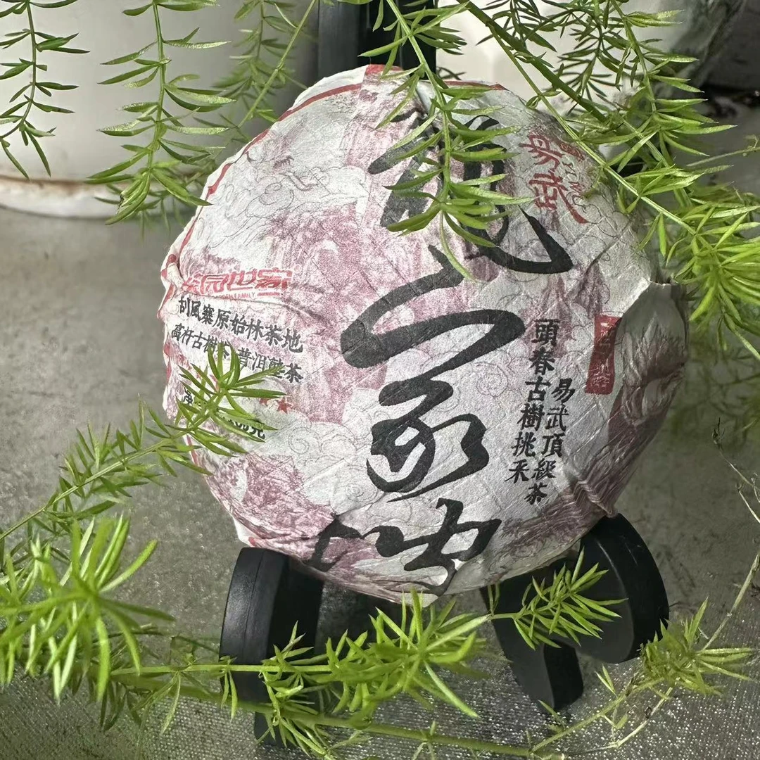 茶园世家易武龙家坡古树纯料普洱茶 100g/沱 熟茶