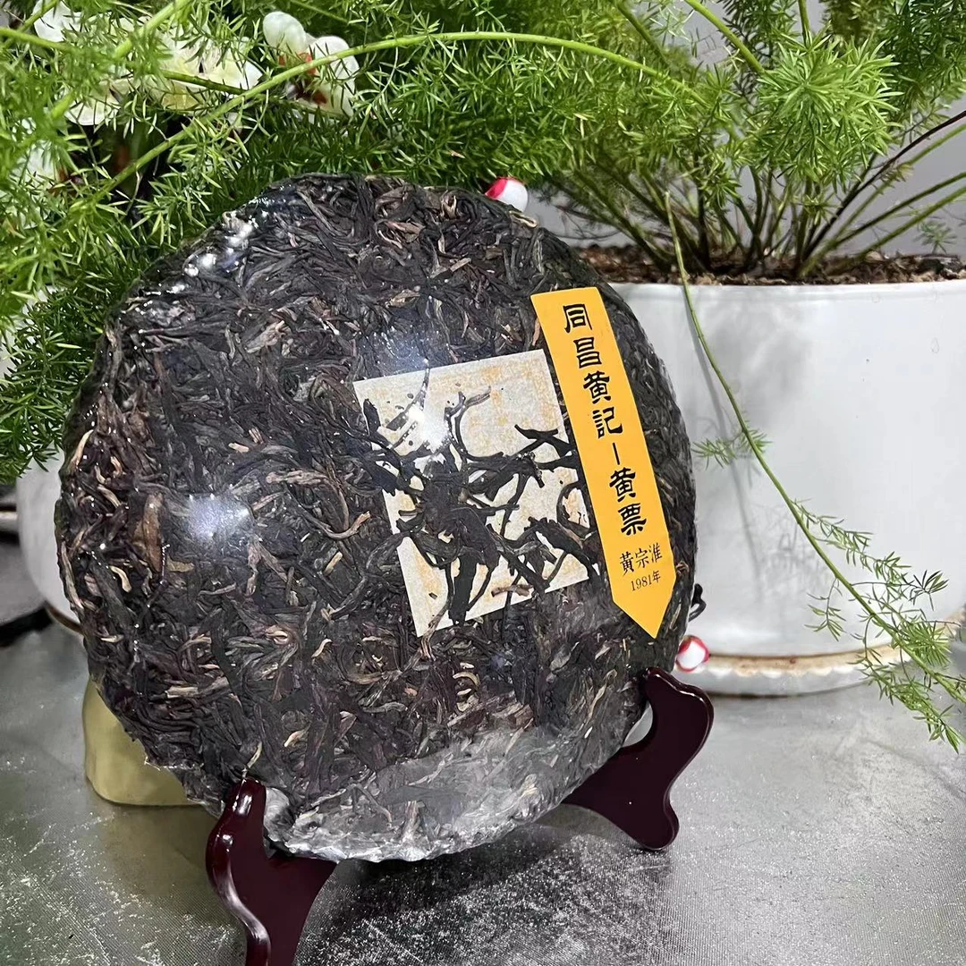 茶园世家同昌黄记黄宗淮1981黄票古树普洱茶普洱357g/饼 生