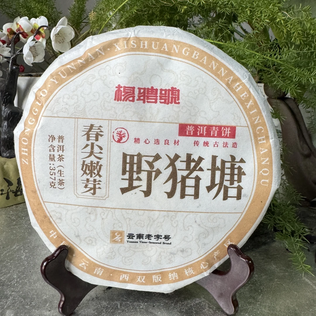 茶园世家杨聘号野猪塘春尖嫩芽古树普洱茶357g/饼 生普