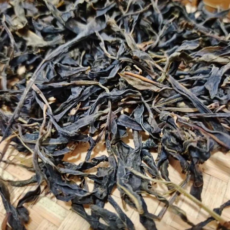 云南普洱500年野生生茶