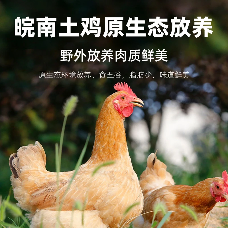 徽之道（老母鸡买一送一）皖南散养老母鸡（单只净重1.8-2.5斤）农家