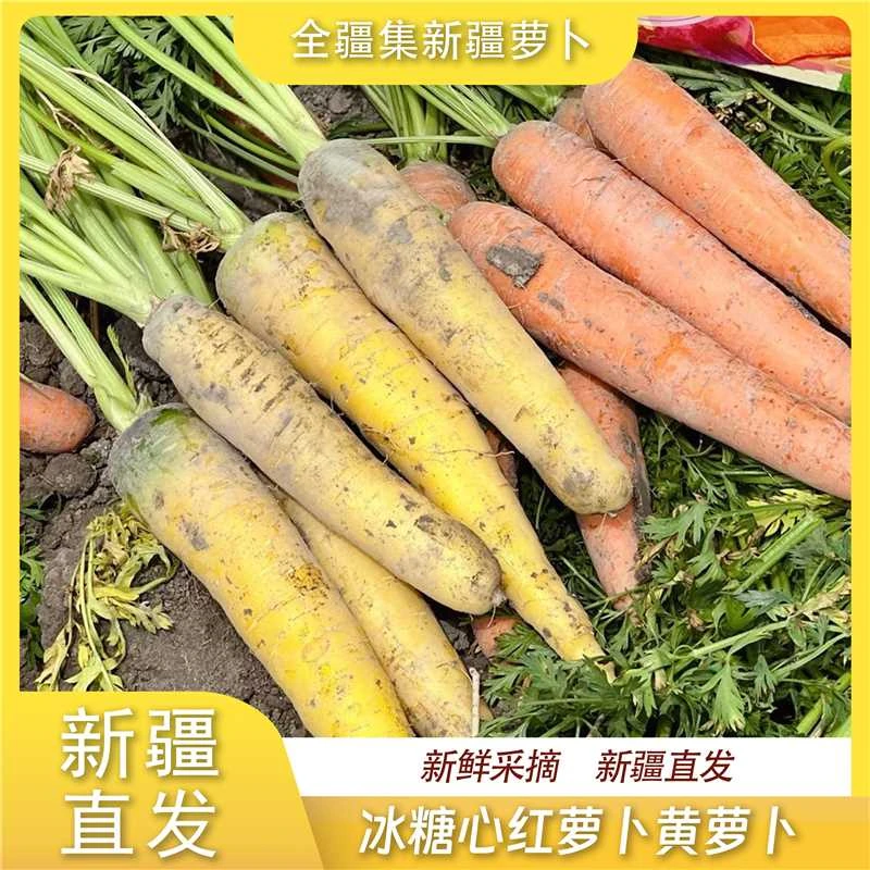 【全疆集】新疆黄萝卜胡萝卜5斤装8-12根新疆直发