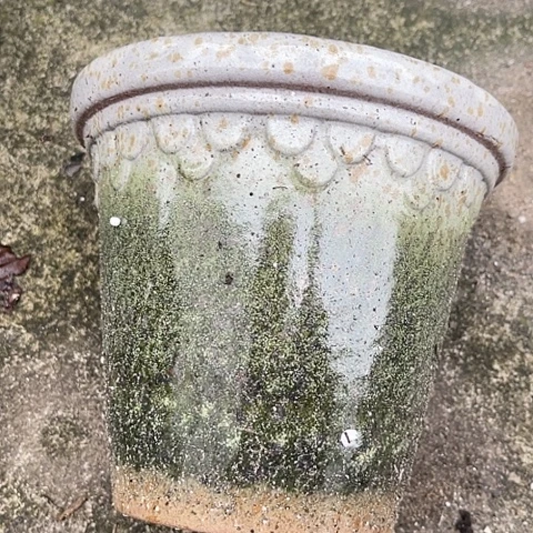 红陶20CM（含）-50CM（不含）福利姬