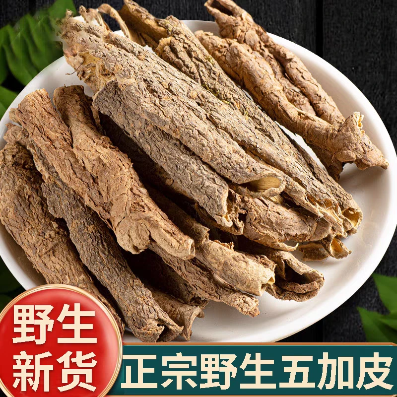 五加皮正品道地精选无硫野生五加皮滋补养生搭配枸杞泡水泡茶喝