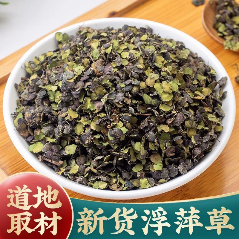 紫背浮萍精选正宗道地浮萍草搭配桑叶红花枸杞煮水泡水喝滋补养生