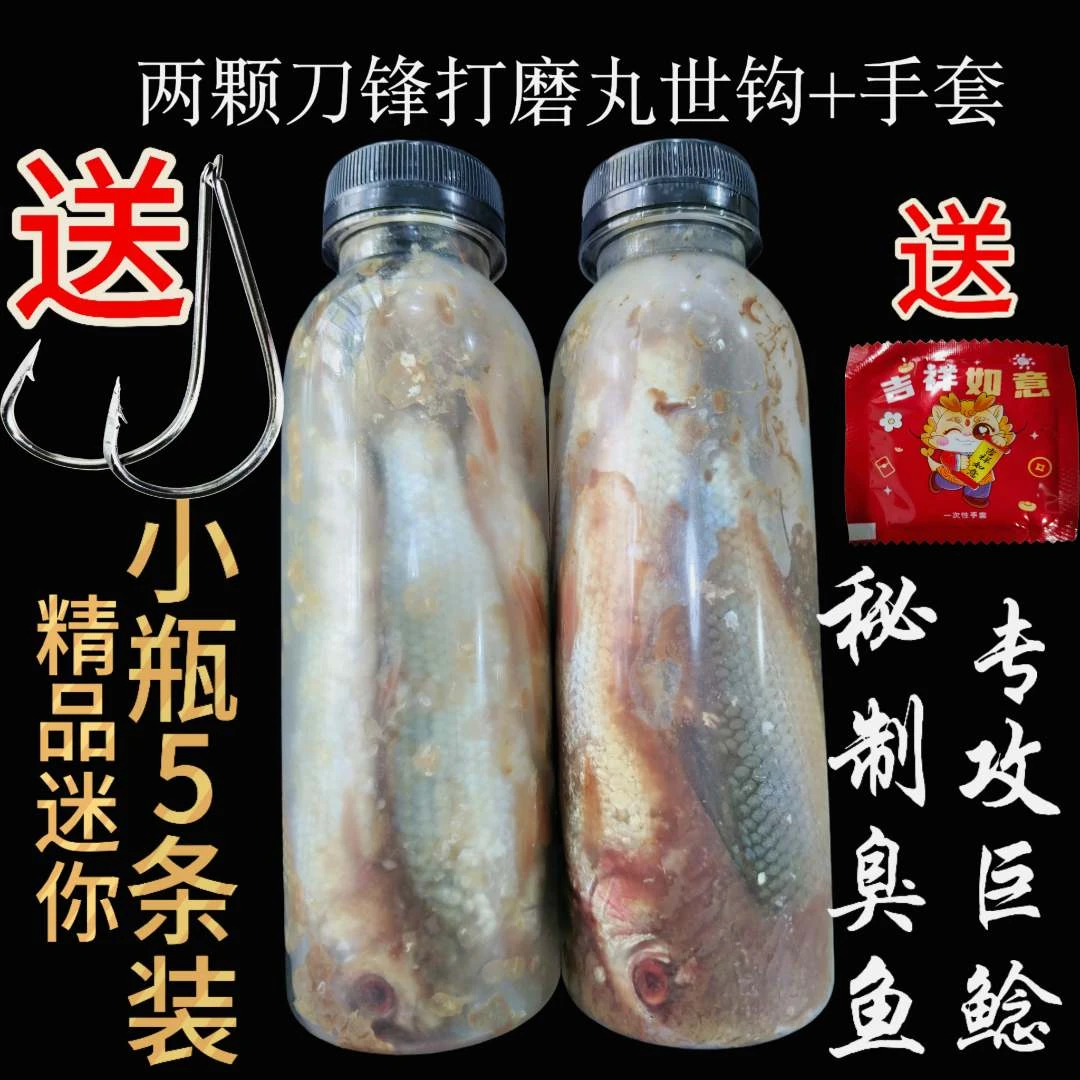 专攻大口鲶鱼臭鱼饵料瓶装精选优质发酵腥味浓厚秘制5条装