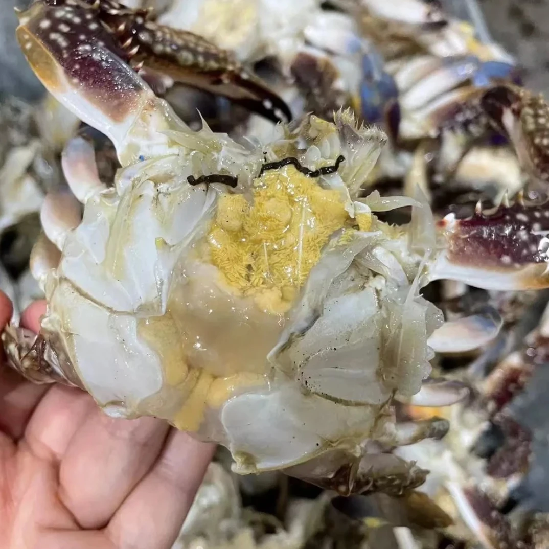 三角蟹整只蟹块（半斤一盒）