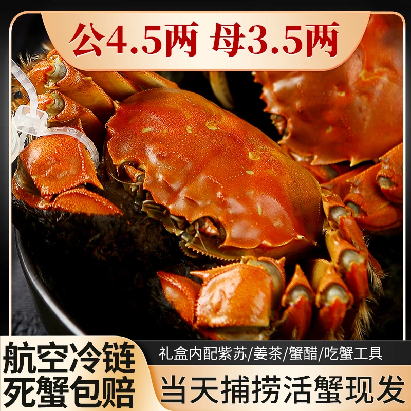 【活蟹】正宗苏州精品大闸蟹公4.5两母3.5两6/10只鲜活现货螃蟹包邮