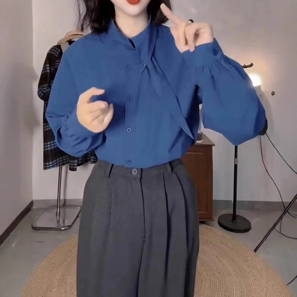 新款时尚设计感衬衫休闲哈伦裤女装