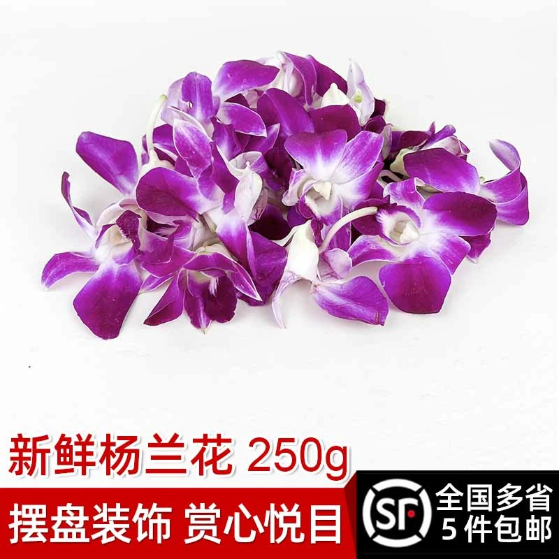 新鲜洋兰花250g杨兰花马兰花火锅酒店饭店西餐点缀摆盘装饰鲜花朵