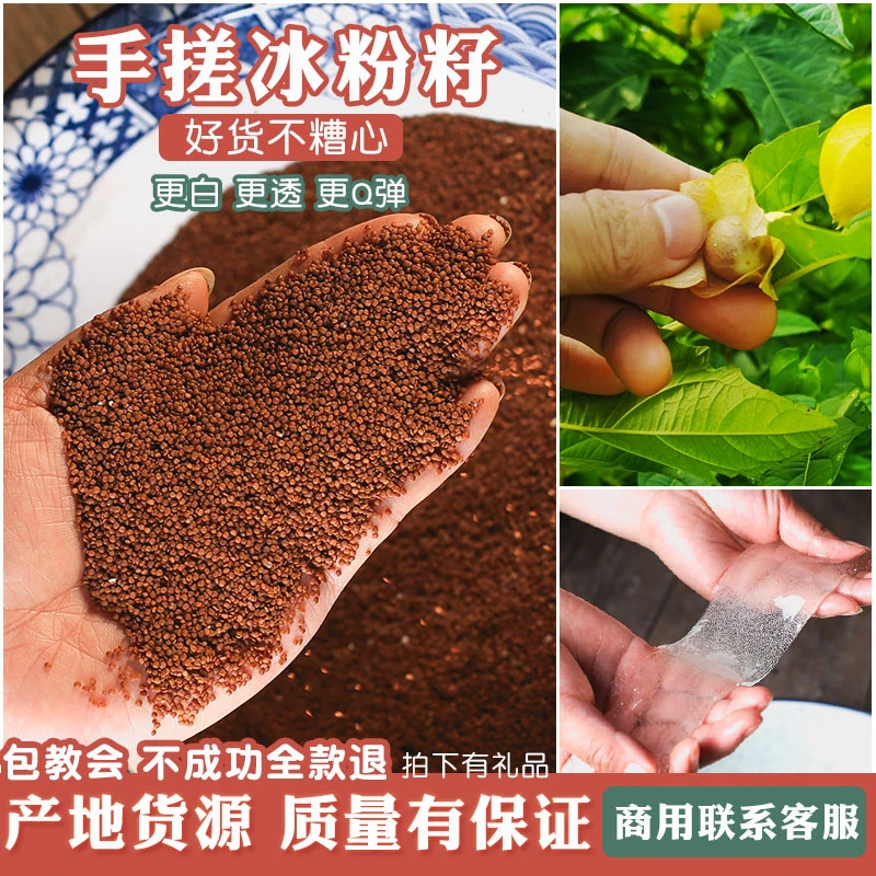 手搓冰粉籽商用冰籽头茬天然凉粉籽四川手工冰粉夏季气泡冰粉摆摊