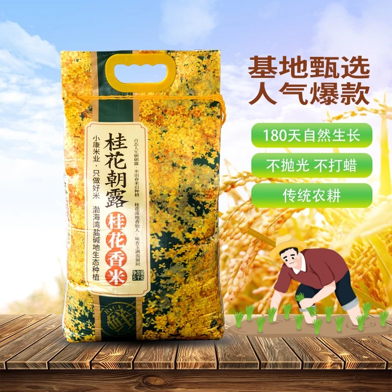 桂花朝露2024年当季新米桂花香米5KG原生态人工种植新鲜入口香甜
