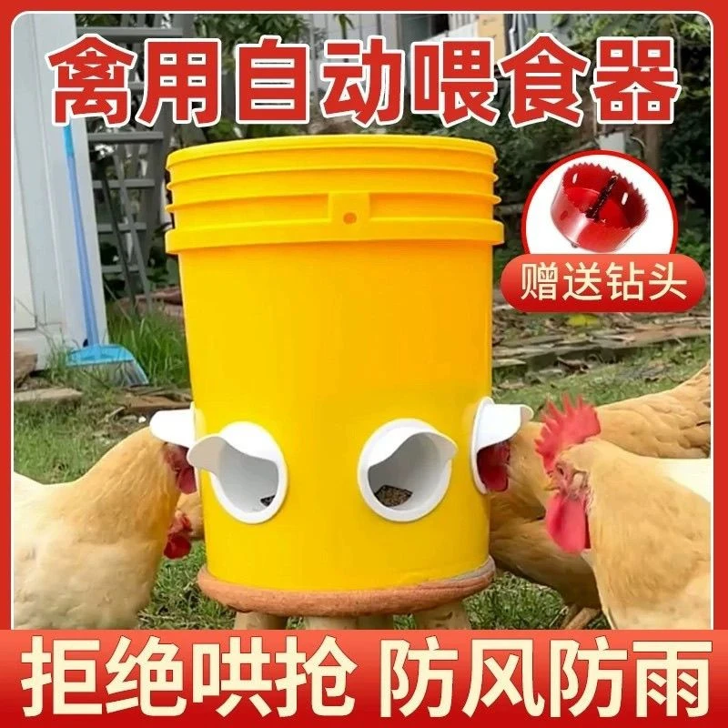 喂食器家禽喂食户外鸡鹅鸭使用自动鸡鸭鹅全自动一体室内养鸡神器