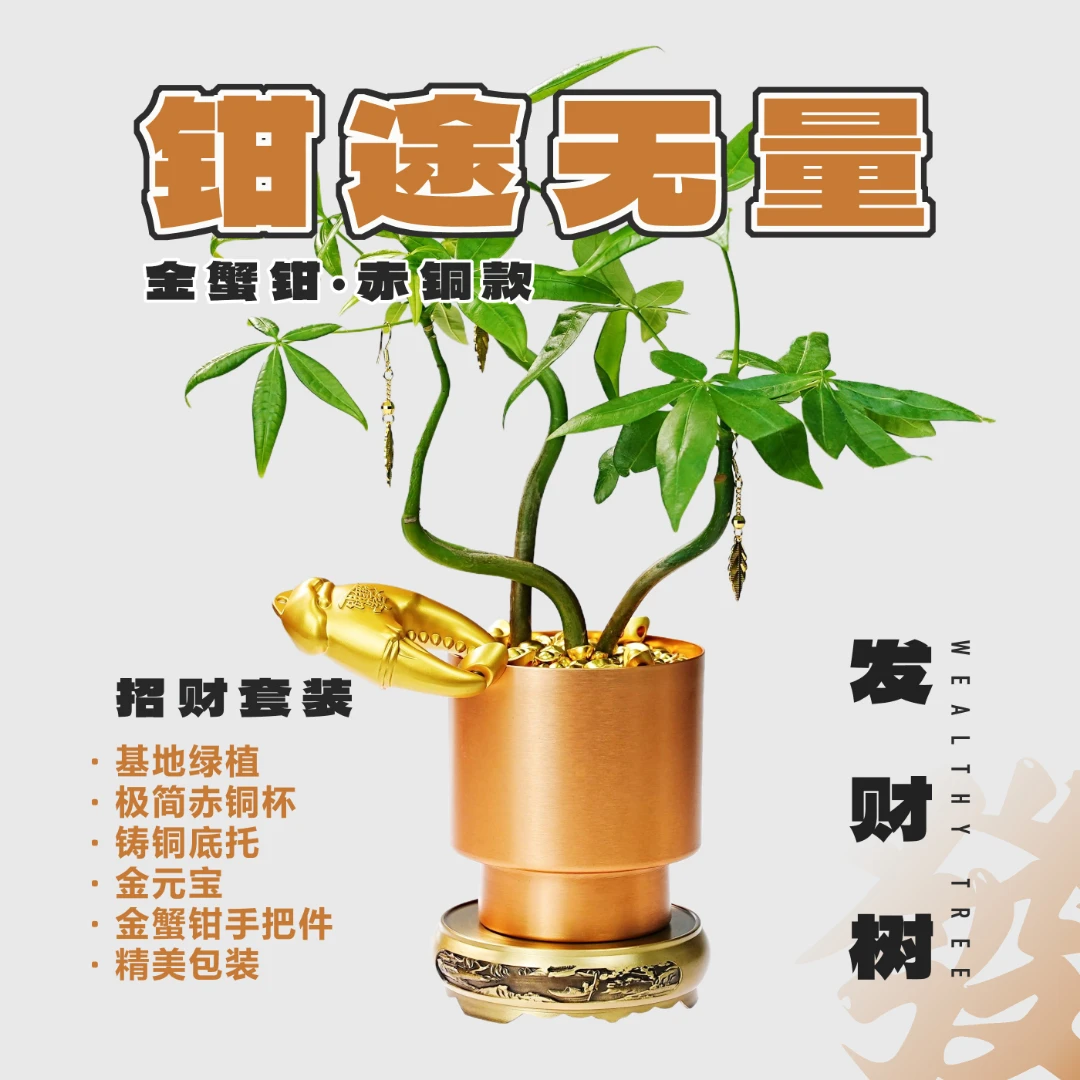 植物杀手可冲丨套装极简铜杯节日送礼旺工位绿宠搭子：发财树