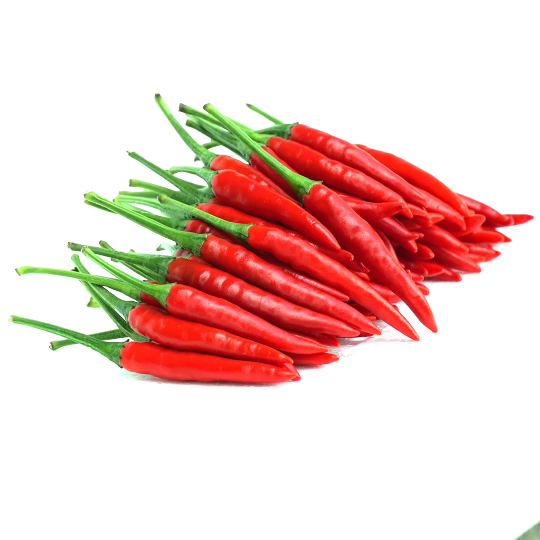 贵州经典品种满天星5斤